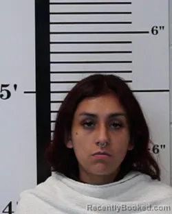 Mugshot of Yhazmin Hernandez booked in Rockwall County, Texas on June 2, 2026