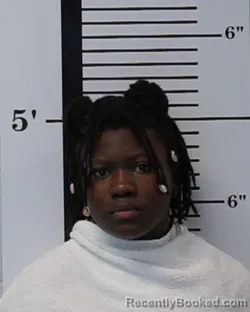 Mugshot of Jameka Antonnette Clay booked in Rockwall County, Texas on August 20, 2026