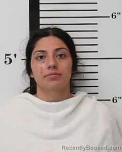 Mugshot of Angie Elizabeth Rodriguez booked in Rockwall County, Texas on August 28, 2026