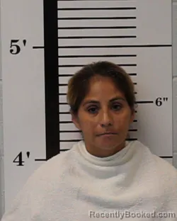 Mugshot of Gloria Ann Pena booked in Rockwall County, Texas on June 2, 2026