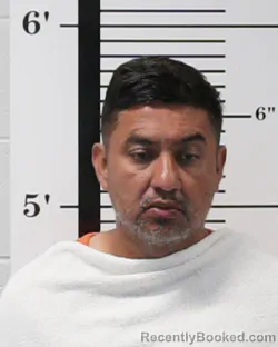 Booking photo from Rockwall County, Texas