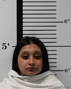 Mugshot of Juliana Barrios booked in Rockwall County, Texas on May 30, 2026