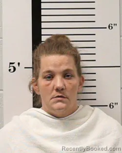Mugshot of Whitney Nicole Hulshouser booked in Rockwall County, Texas on June 16, 2026