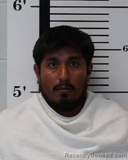 Mugshot of Omar Piedra booked in Rockwall County, Texas on July 8, 2026