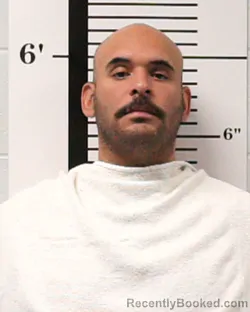 Mugshot of David Jesus Largaespada booked in Rockwall County, Texas on July 15, 2026