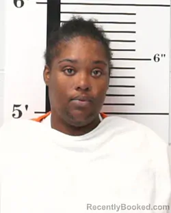 Mugshot of Tiffany Nicole Owens booked in Rockwall County, Texas on August 4, 2026