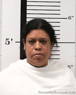 Mugshot of Irene Limon Garcia booked in Rockwall County, Texas on August 4, 2026