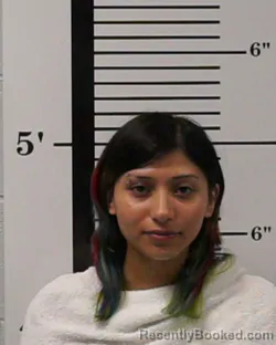 Mugshot of Sophia Penelope Alvarenga booked in Rockwall County, Texas on August 15, 2026