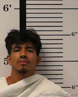 Mugshot of Diego Hernandez booked in Rockwall County, Texas on August 16, 2026