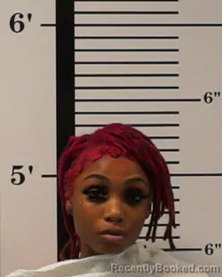 Mugshot of Tierra Evans booked in Rockwall County, Texas on August 16, 2026
