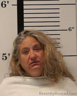 Mugshot of Jessica M Nelson booked in Rockwall County, Texas on August 22, 2026