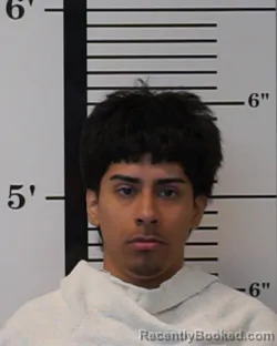 Mugshot of Alvin Dimas Gregorio booked in Rockwall County, Texas on August 25, 2026