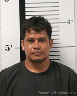 Mugshot of Noivis Francisco Hernandez-Vazquez booked in Rockwall County, Texas on September 13, 2026