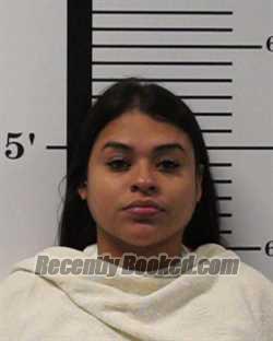 Booking photo from Rockwall County, Texas