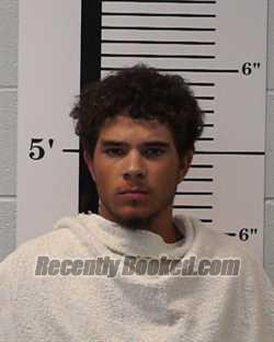 Booking photo from Rockwall County, Texas