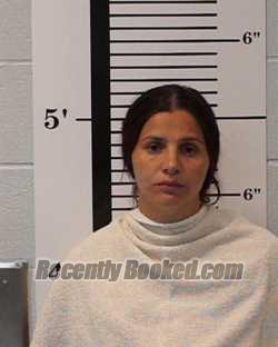 Booking photo from Rockwall County, Texas
