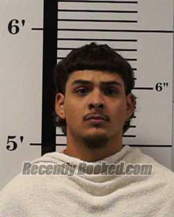 Booking photo from Rockwall County, Texas