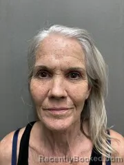 Mugshot of Lee Ann Day booked in Sabine County, Texas on March 24, 2026