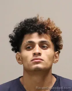 Mugshot of ALLAN JOSUE REGALADO-FERNANDEZ