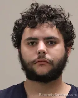 Mugshot of FRANK WILLIAM D'AMELIO