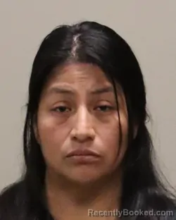 Mugshot of CARMEN JULIA TZUNUN YAX