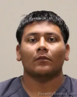 Mugshot of DANNY MARK TORIBIO-ARREAGA