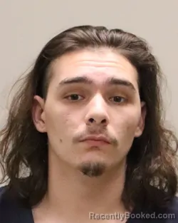 Mugshot of DYLAN MICHAEL CITERA