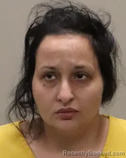 Mugshot of ALEXA DAWN GALLANDER booked in Martin County, Florida on July 20, 2026