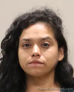 Mugshot of DULCE HERNANDEZ booked in Martin County, Florida on March 14, 2026