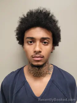 Mugshot of TIMOTHY LADERIAN FULLWOOD