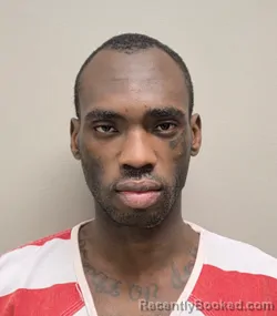 Mugshot of TERRANCE LEE JOHNSON