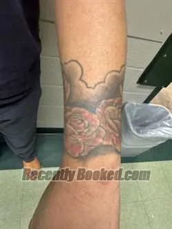 Booking photo from Martin County, Florida