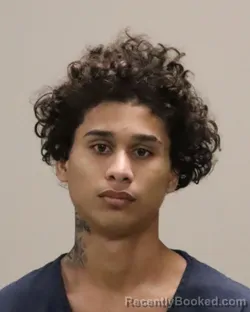 Booking photo from Martin County, Florida