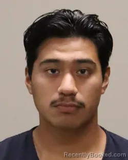 Mugshot of ANGEL FERNANDO LIMAS