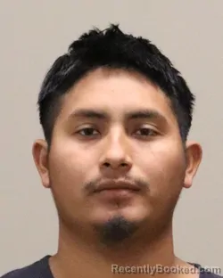 Mugshot of ANDRES MARCOS SILVESTRE