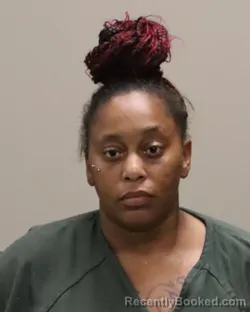 Mugshot of NICOLE MARIE BRYANT