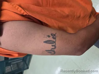 Mugshot of Julio Cesar De La Cruz Chavez