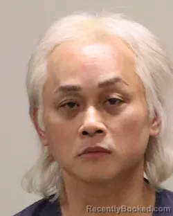Mugshot of MICHAEL VUONG