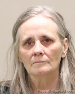 Mugshot of KATHLEEN ANN GILSON