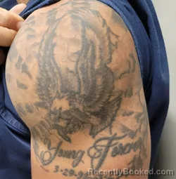 Mugshot of TERRELLE CHRISTOPER HOLLIS