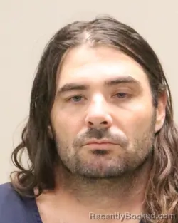 Mugshot of BRIAN JAMES INGRAM