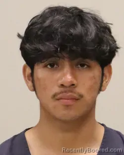 Mugshot of LUIS CASTANON-BRAVO