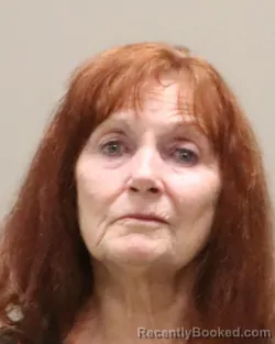 Mugshot of VIRGINIA LOIS HOFFMAN