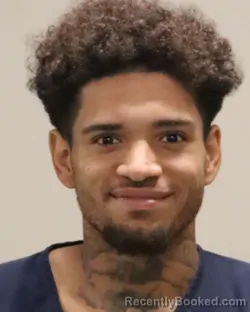 Mugshot of CHRISTOPHER MICHAEL LENHER