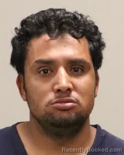 Mugshot of SELVIN VILLIDA