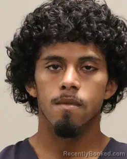 Mugshot of DOMINIC ALEX ALMODOVAR booked in Martin County, Florida on March 20, 2026