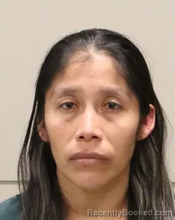 Mugshot of MARIA JACINTO T0MAS booked in Martin County, Florida on March 23, 2026