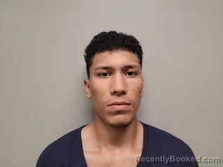 Mugshot of DARVIS PERDOMO-INFANTE booked in Martin County, Florida on March 28, 2026