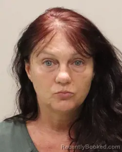 Mugshot of DARCY Ann Barchuk booked in Martin County, Florida on March 31, 2026