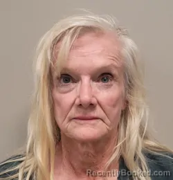 Mugshot of LINDA FRANCES NORMAN booked in Martin County, Florida on April 8, 2026